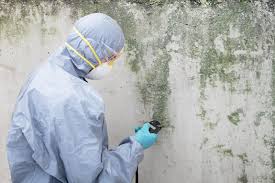 Best Water Damage & Mold Remediation  in Jackson, GA